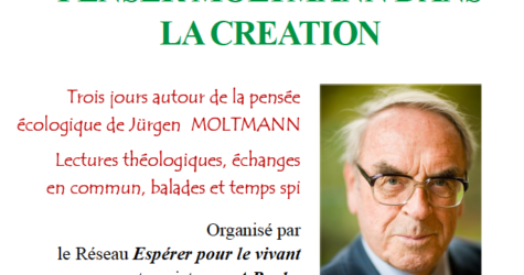 Séminaire – Penser Moltmann dans la Création