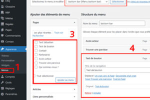 Visio des communicants : sites web de paroisse